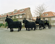 810057 Afbeelding van een door vier paarden getrokken lijkkoets op de hoek van de Alexander Numankade en ...